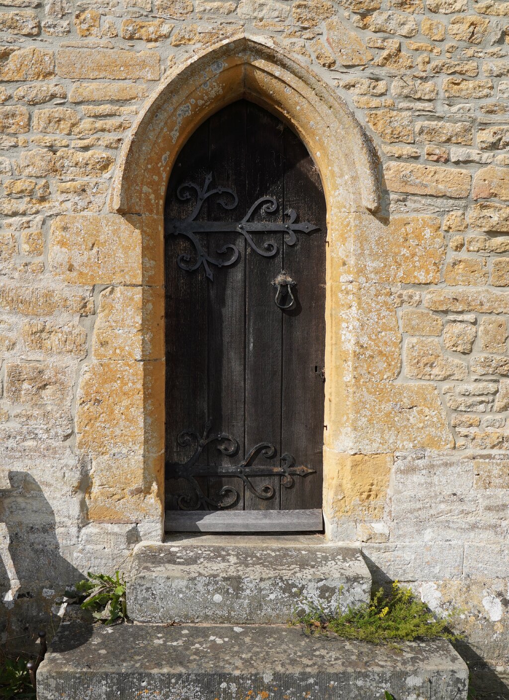 49361713gh.jpg