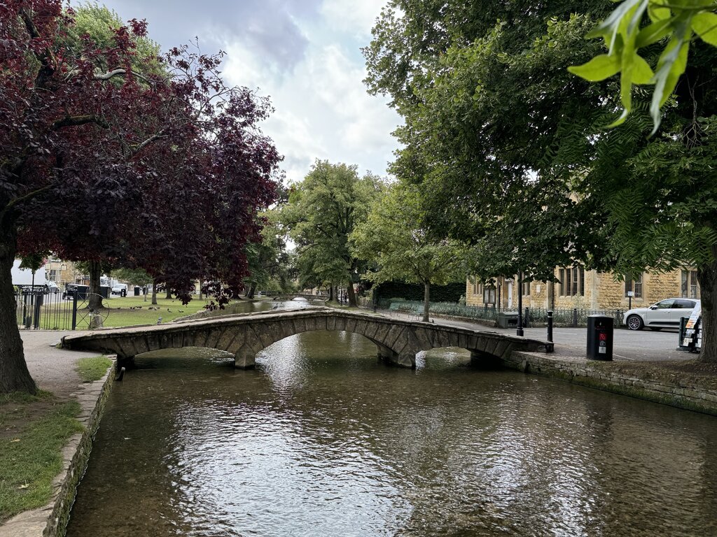 49303476np.jpg