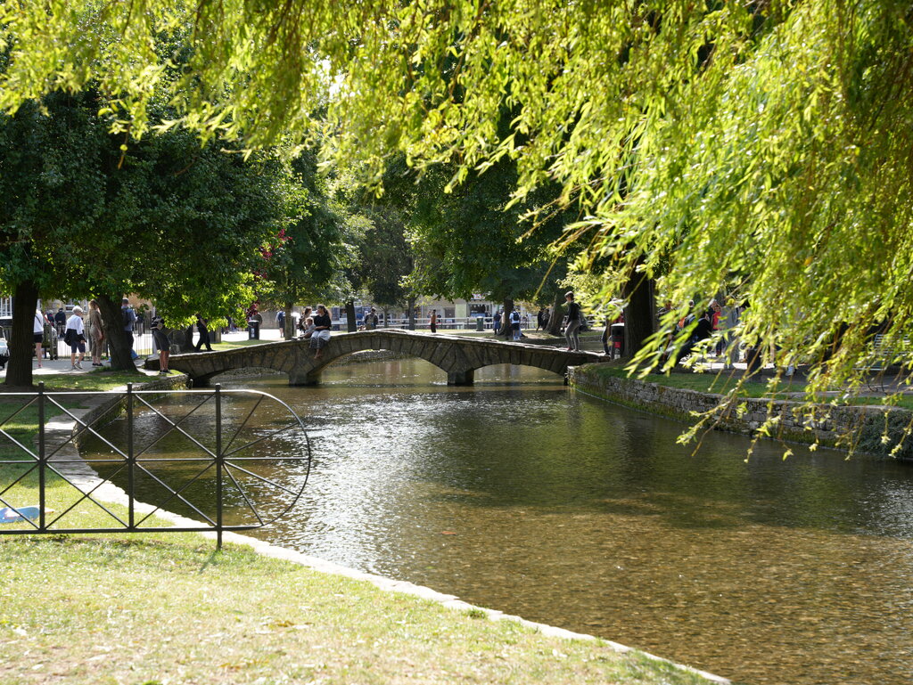 49303620nf.jpg