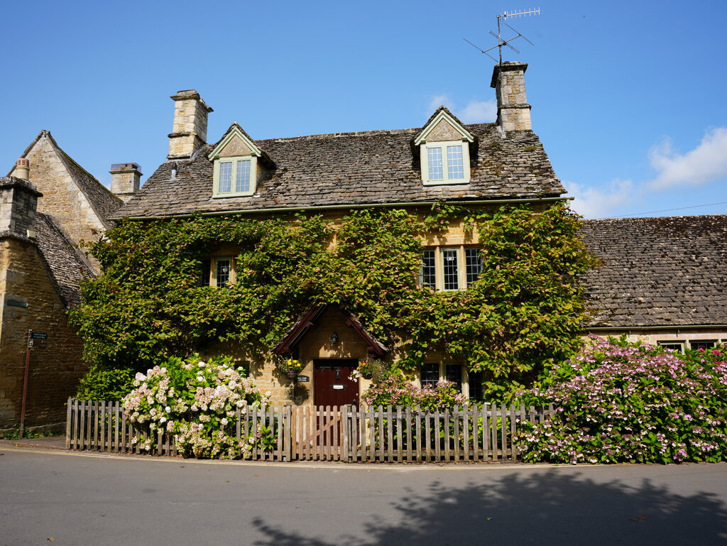 49303606xr.jpg